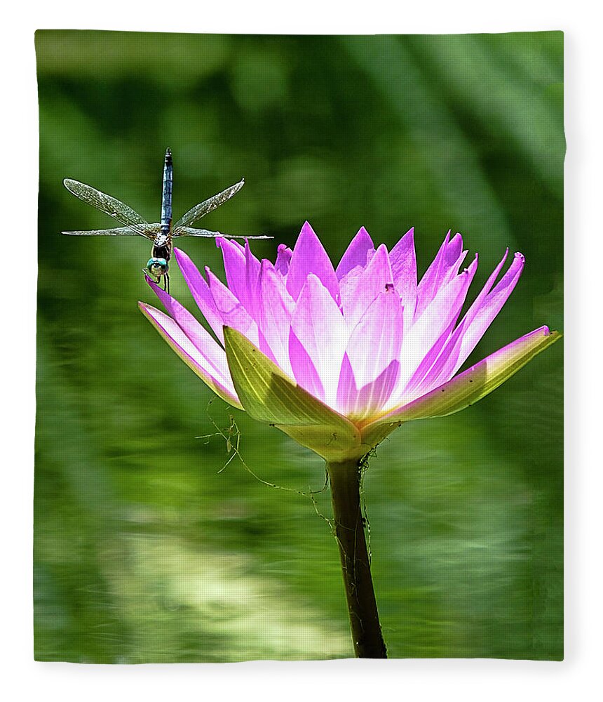 Dragonfly Fleece Blanket featuring the photograph Dragon and Lily by Bill Barber
