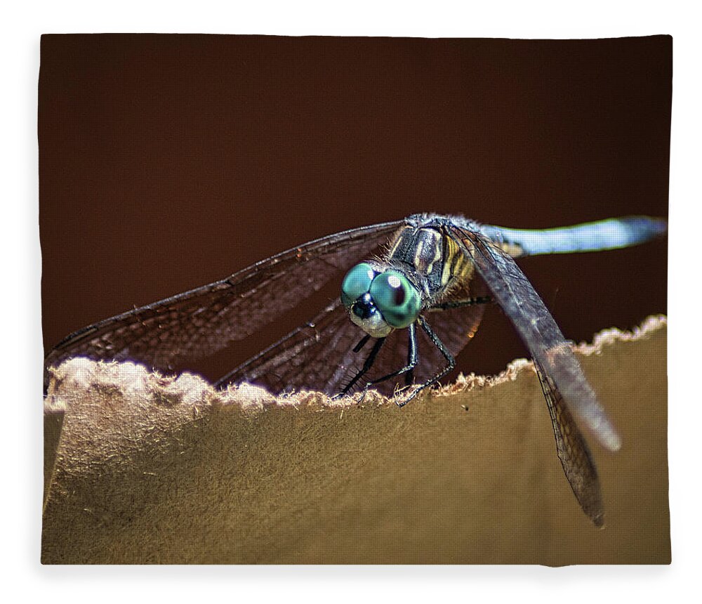 Insect Fleece Blanket featuring the photograph Dragonfly Eyes by Portia Olaughlin
