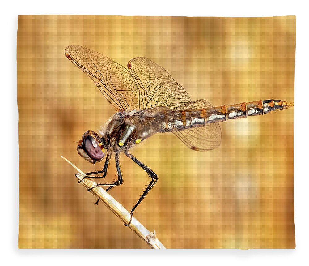 Dragonfly Fleece Blanket featuring the photograph Dragonfly by James Sage