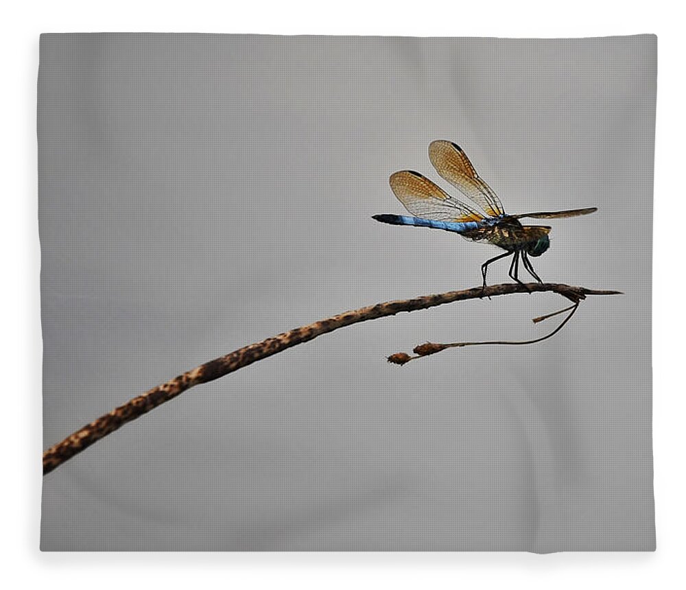 Photo Fleece Blanket featuring the photograph Dragonfly Over Lake by Evan Foster