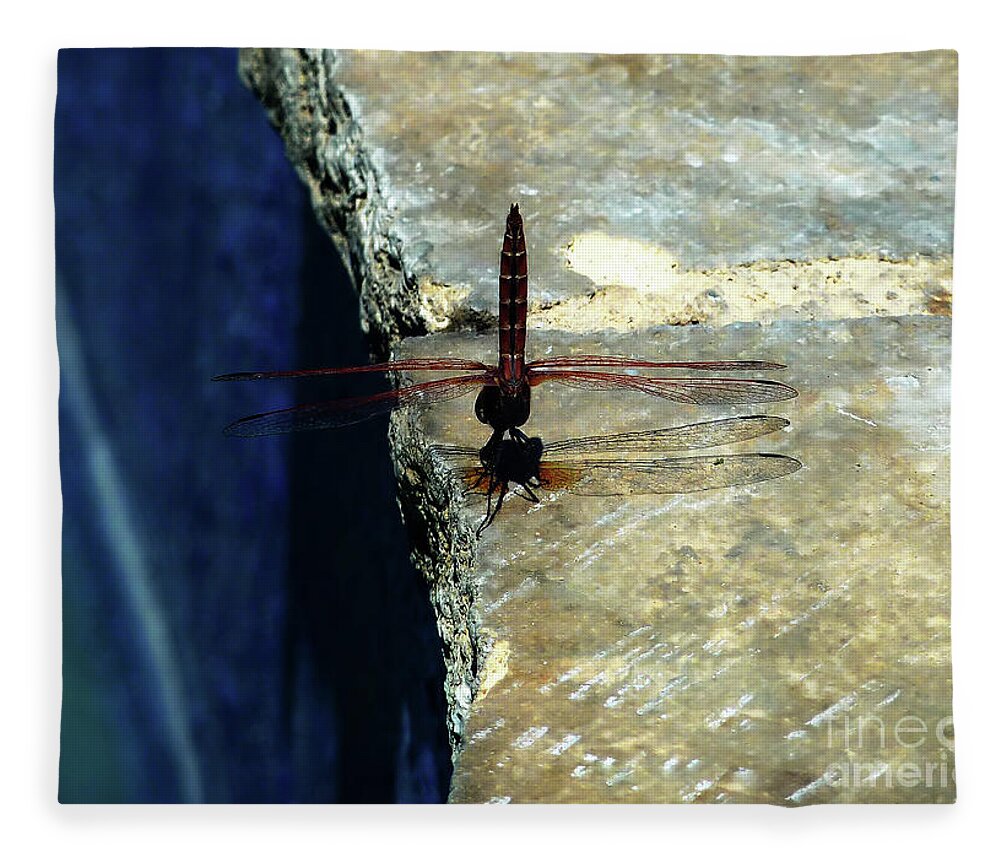 Poolside Fleece Blanket featuring the photograph Dragonfly-Poolside-Limassol-Cyprus by Pics By Tony