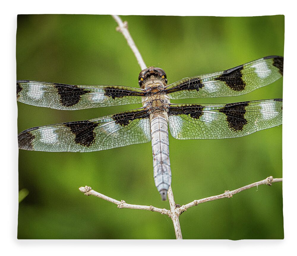 Dragonfly Resting Fleece Blanket featuring the photograph Dragonfly resting by David Morehead
