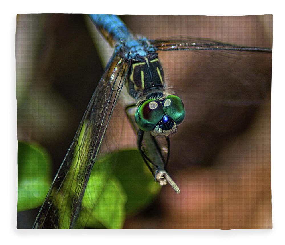 Insect Fleece Blanket featuring the photograph Dragonfly Spirit by Portia Olaughlin