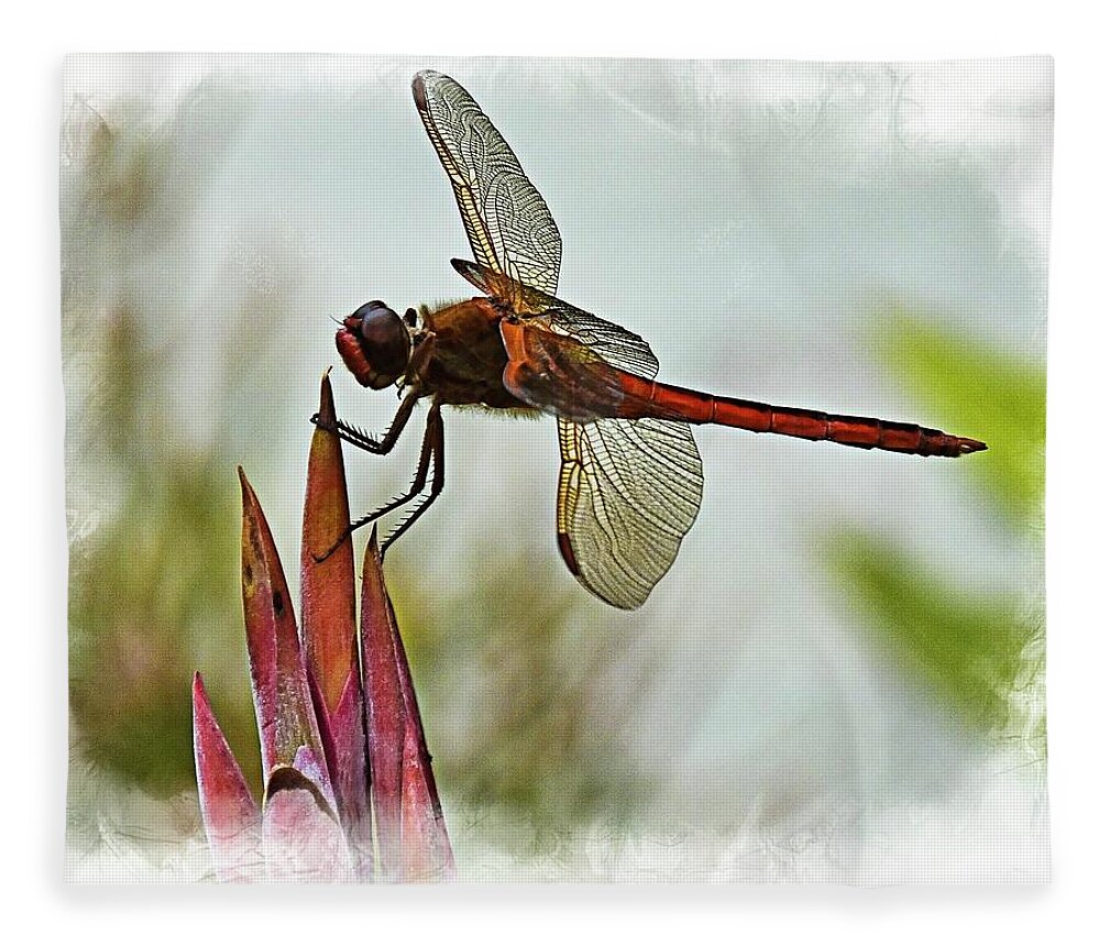 Dragonfly Fleece Blanket featuring the photograph Dragonfly with vignette by Bill Barber