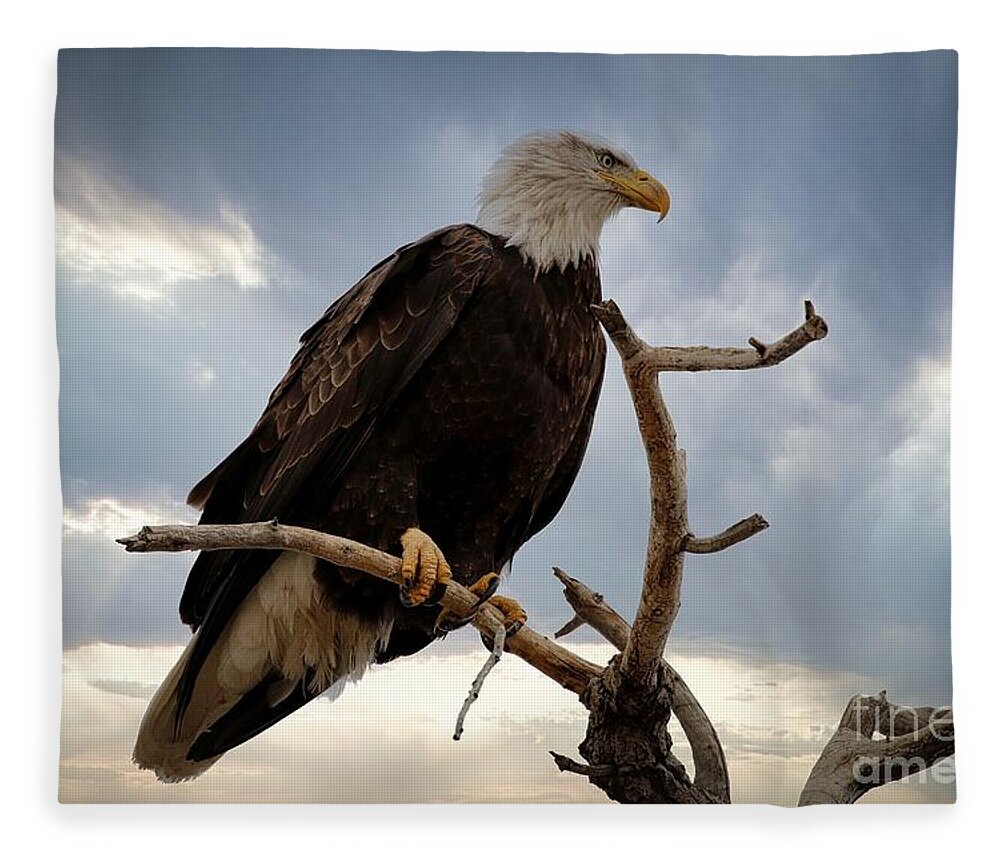 Eagle Fleece Blanket featuring the photograph Dramatic by Veronica Batterson
