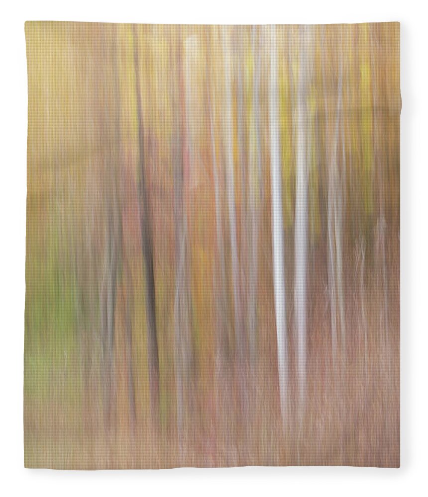 Abstract Forest Fleece Blanket featuring the photograph Dreaming by Forest Floor Photography
