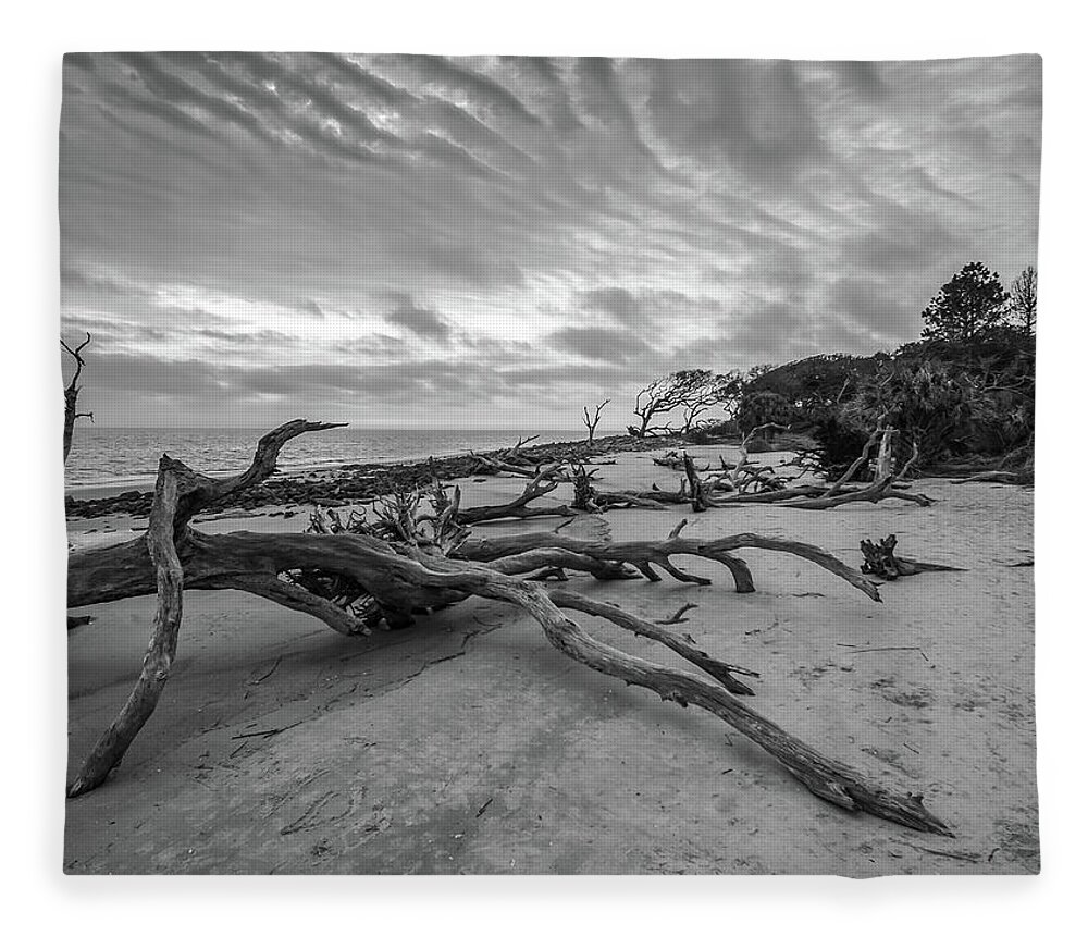 3-nature Fleece Blanket featuring the photograph Drift wood beach photograph by Louis Dallara