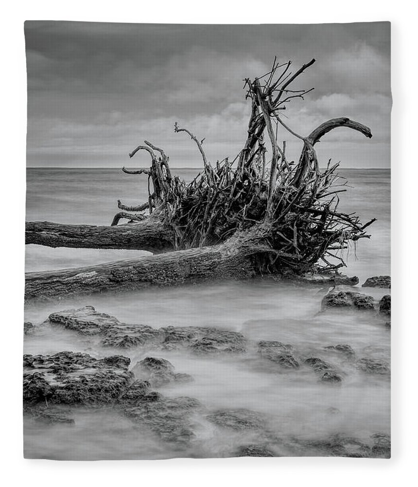 Black Fleece Blanket featuring the photograph Driftwood Beach in Black and White by Carolyn Hutchins