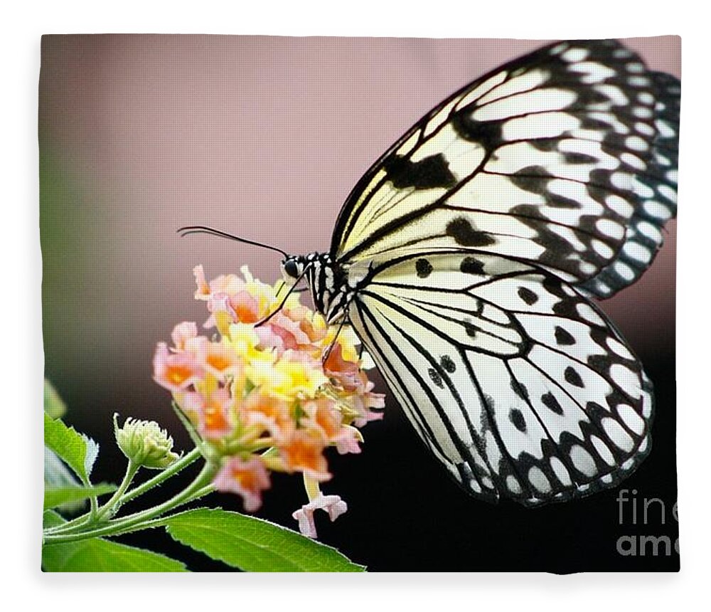 Butterfly Gardens Fleece Blanket featuring the photograph Drink Up by Kimberly Furey