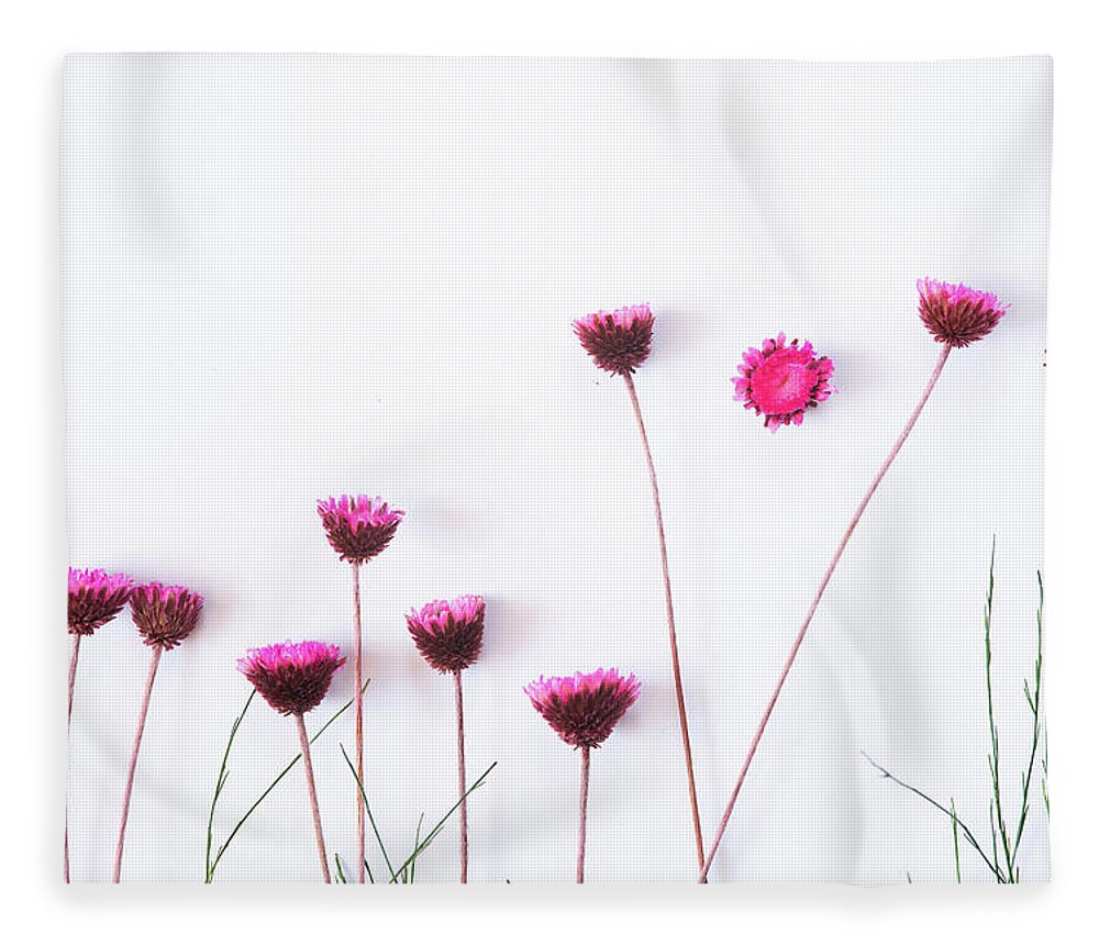 Dry Flowers Fleece Blanket featuring the photograph Dry purple floral bouquet on white background. by Michalakis Ppalis