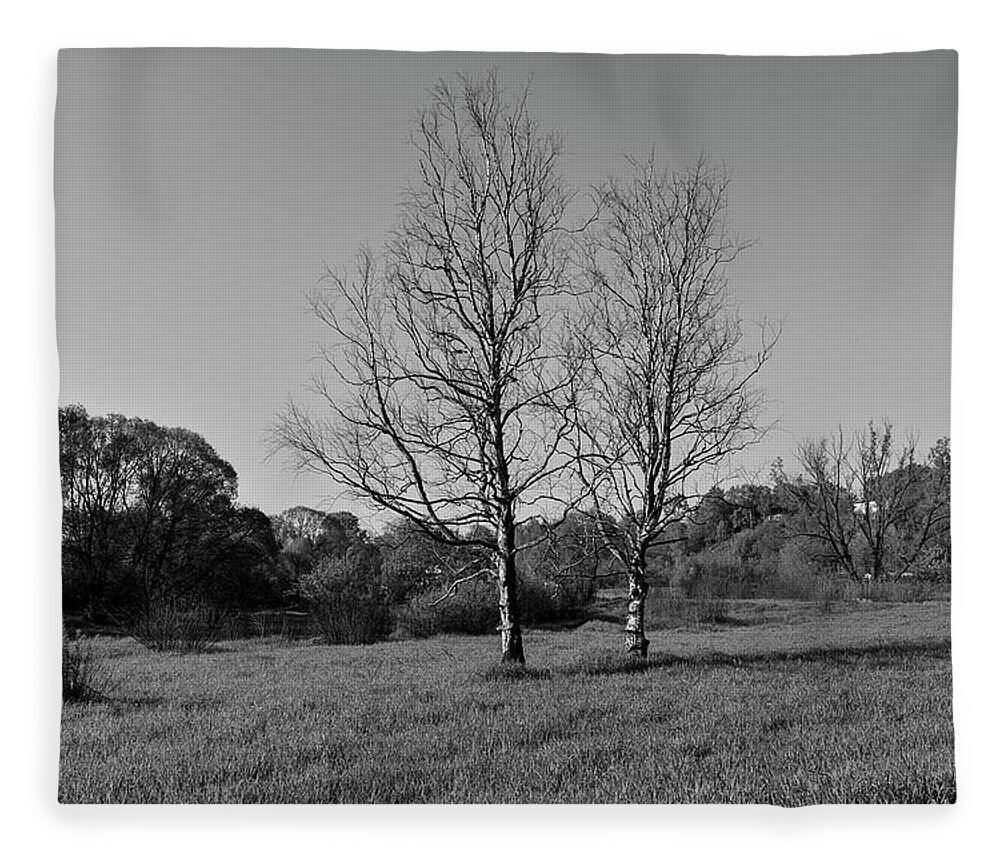 Trees Dry Out Over Time. B.w. Fleece Blanket featuring the photograph Dry trees. by Sergei Fomichev