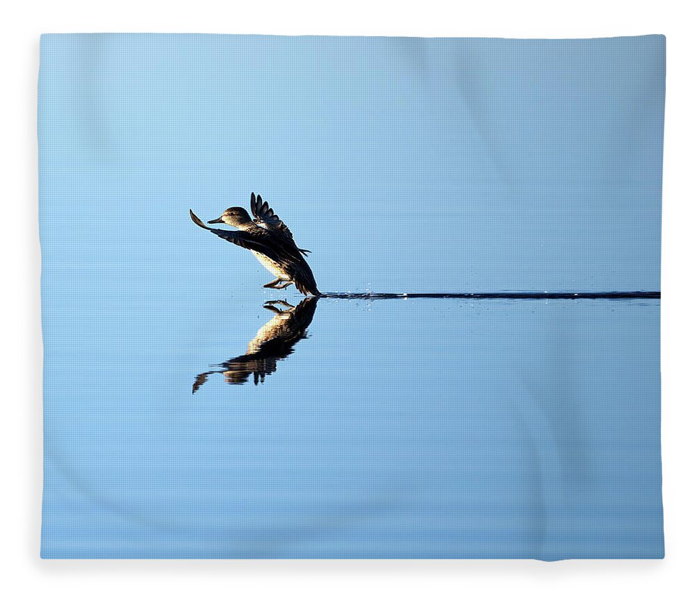 Duck Fleece Blanket featuring the photograph Duck Smooth Landing 1 by Flinn Hackett