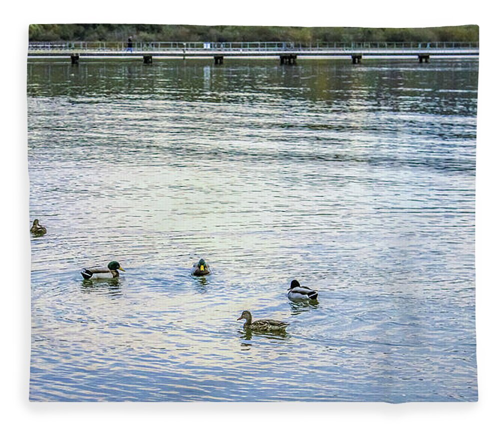 Animals Fleece Blanket featuring the photograph Ducks on the lake by Anamar Pictures