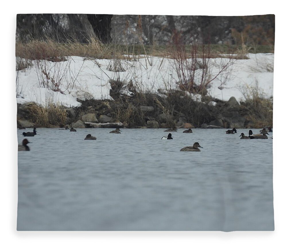 Spring Fleece Blanket featuring the photograph Ducks On The Water by Amanda R Wright