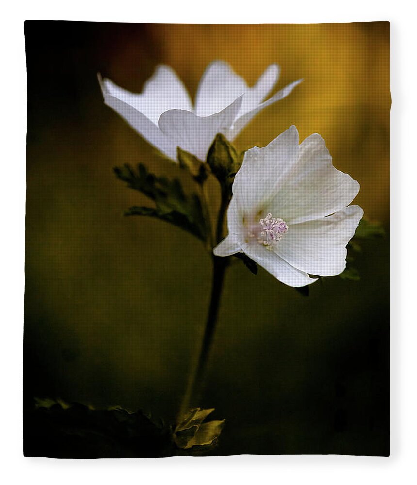 Flowers Fleece Blanket featuring the photograph Duo by RicharD Murphy