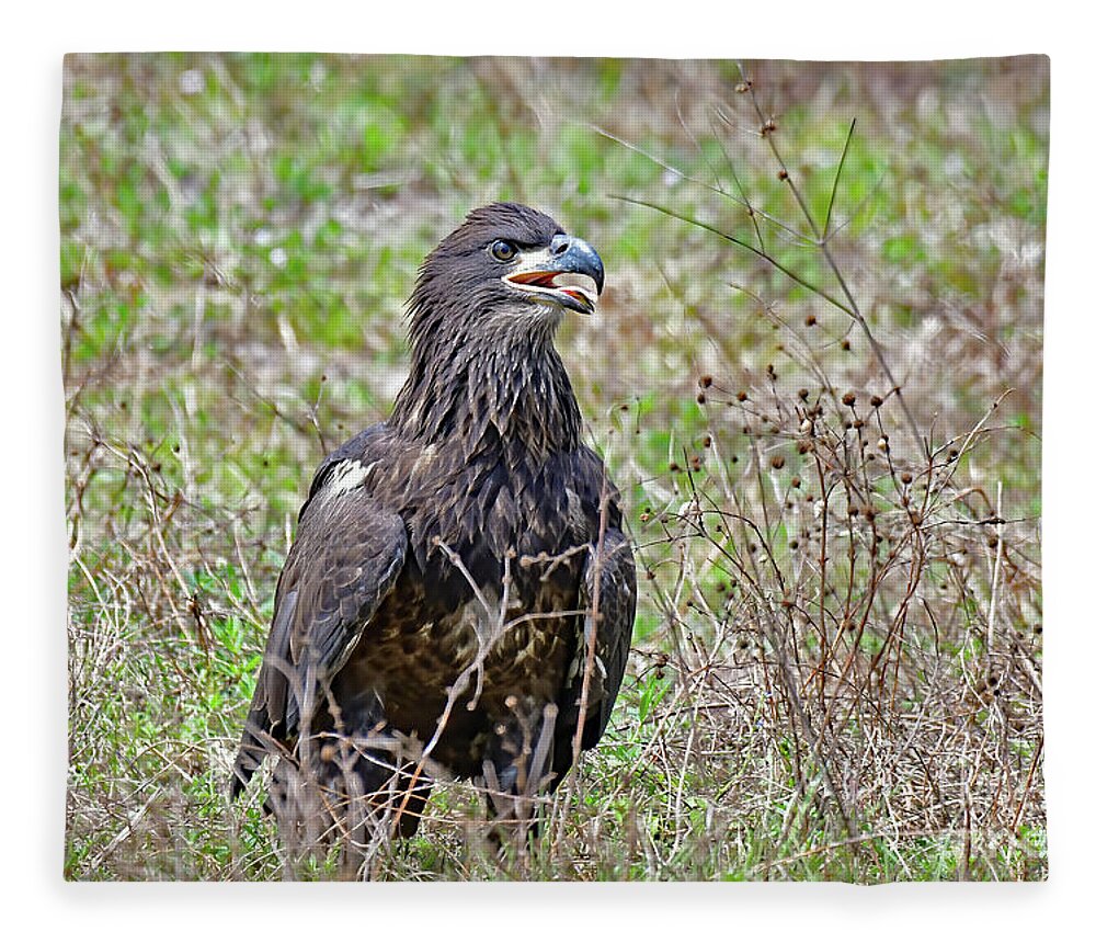 Bald Eagles Fleece Blanket featuring the photograph E19 fledging adventure by Liz Grindstaff
