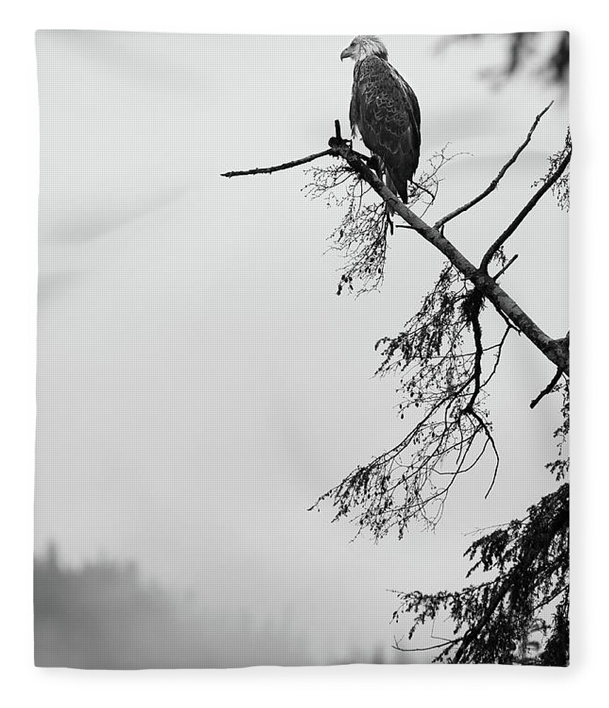  Fleece Blanket featuring the photograph Eagle Black and White by Michael Rauwolf