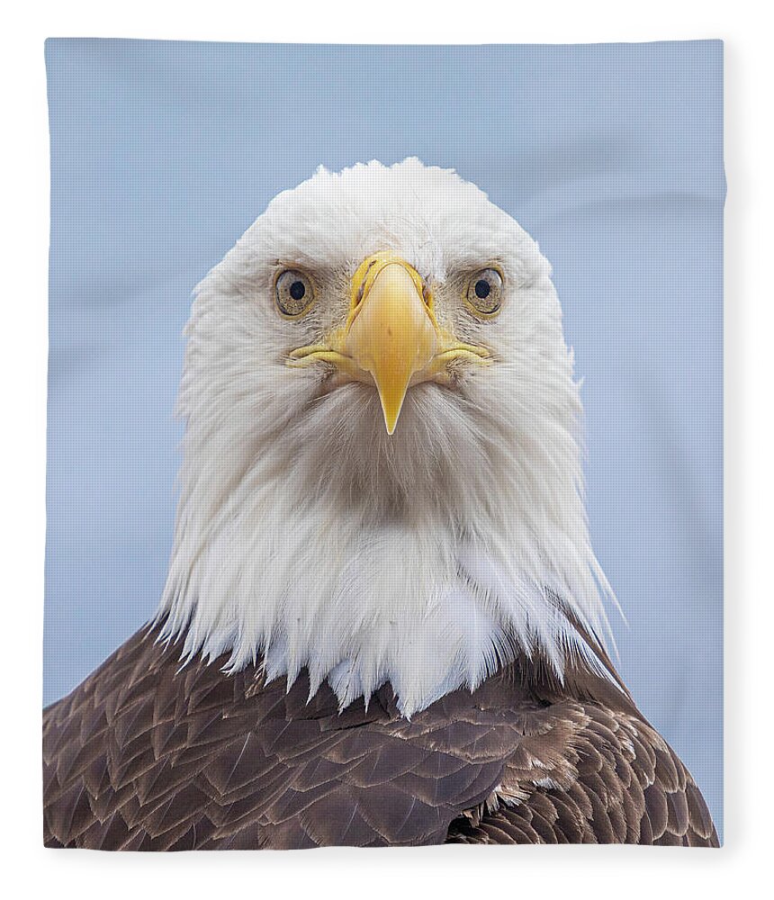 Eagle Fleece Blanket featuring the photograph Eagle Stare by Michael Rauwolf