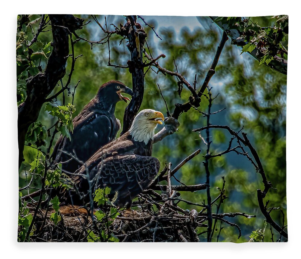 Eaglet Fleece Blanket featuring the photograph Eaglet After by Brian Shoemaker