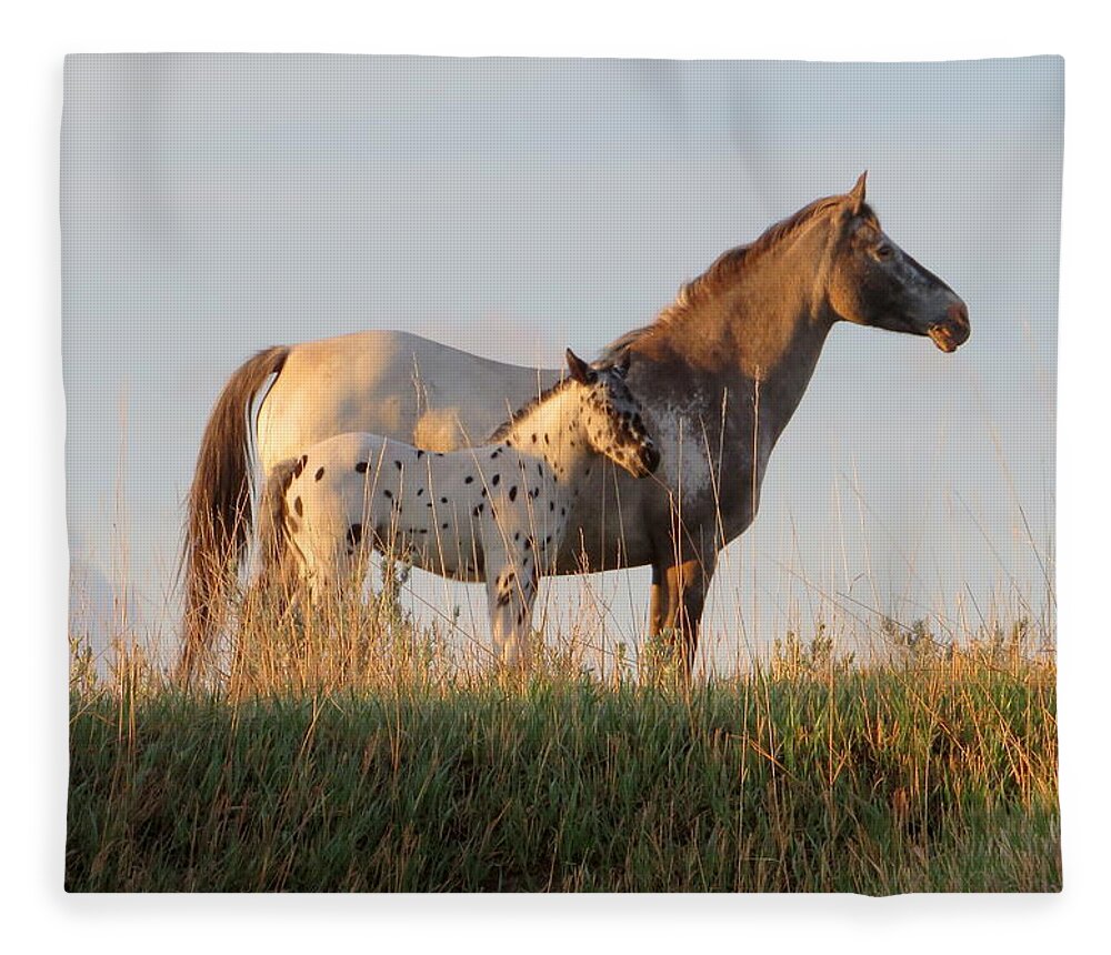 Horse Fleece Blanket featuring the photograph Early Morning Light by Katie Keenan