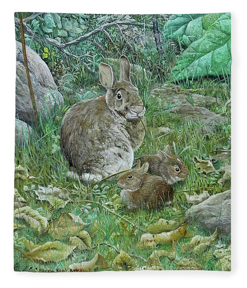 Eastern Cottontail Fleece Blanket featuring the painting Eastern Cottontails by Barry Kent MacKay