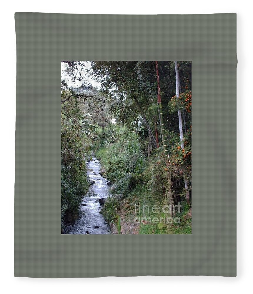 Ecuador Fleece Blanket featuring the photograph Ecuador stream by Nancy Graham