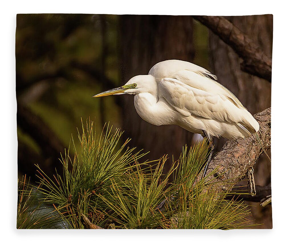 Chincoteague Fleece Blanket featuring the photograph Egret at take-off by Robert Miller