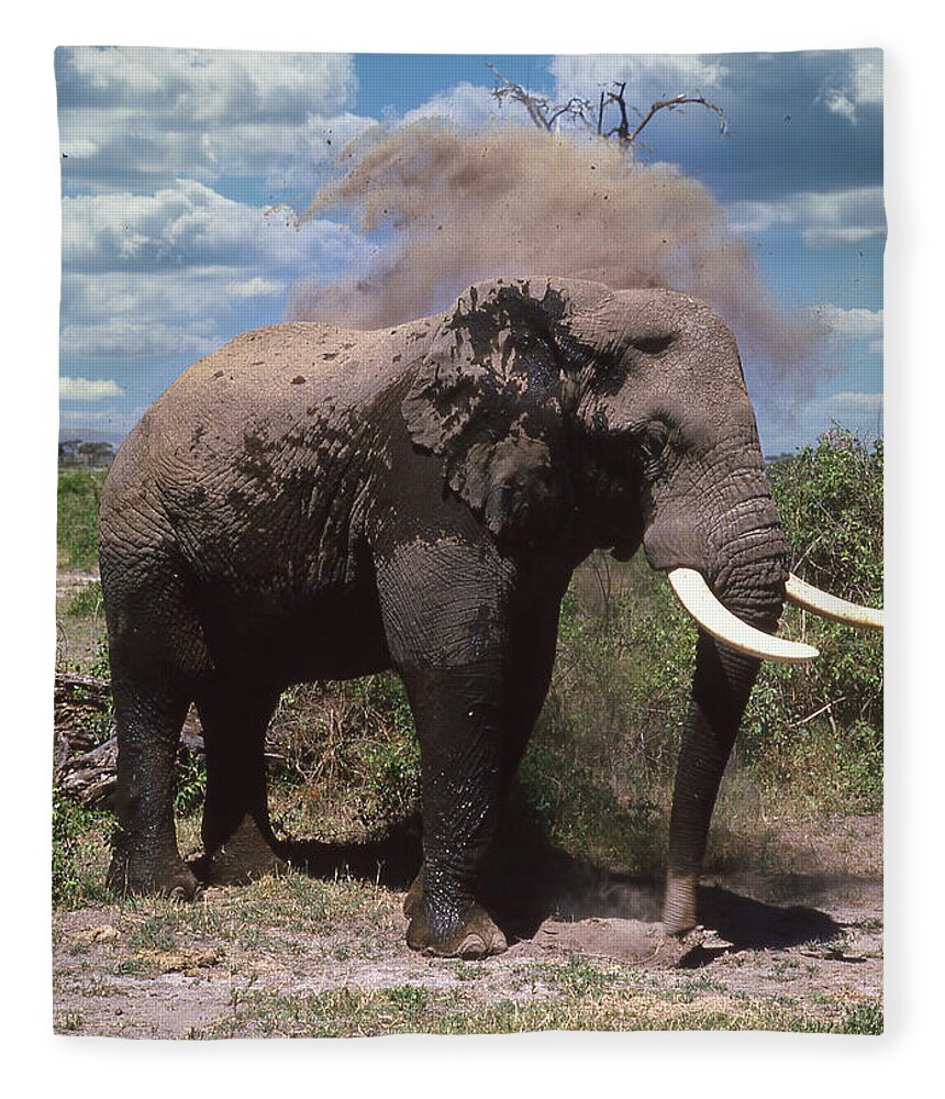 Africa Fleece Blanket featuring the photograph Elephant Dirt Bath by Russel Considine