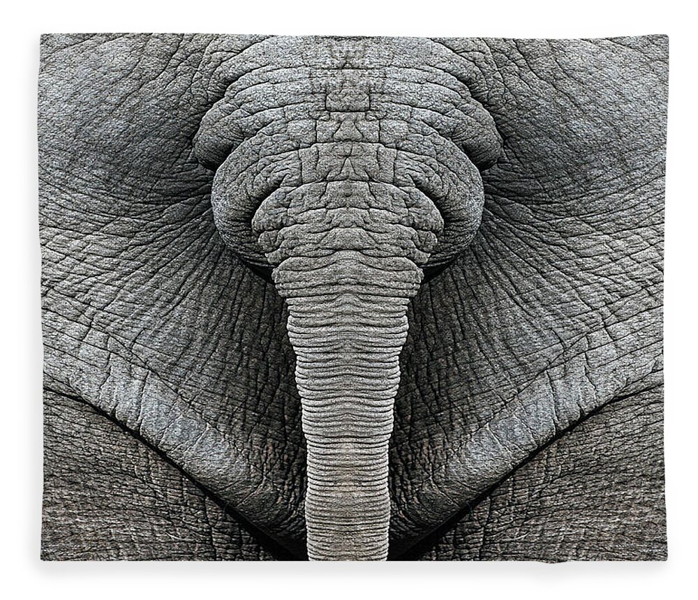 Animal Fleece Blanket featuring the mixed media Elephant Hide by BFA Prints