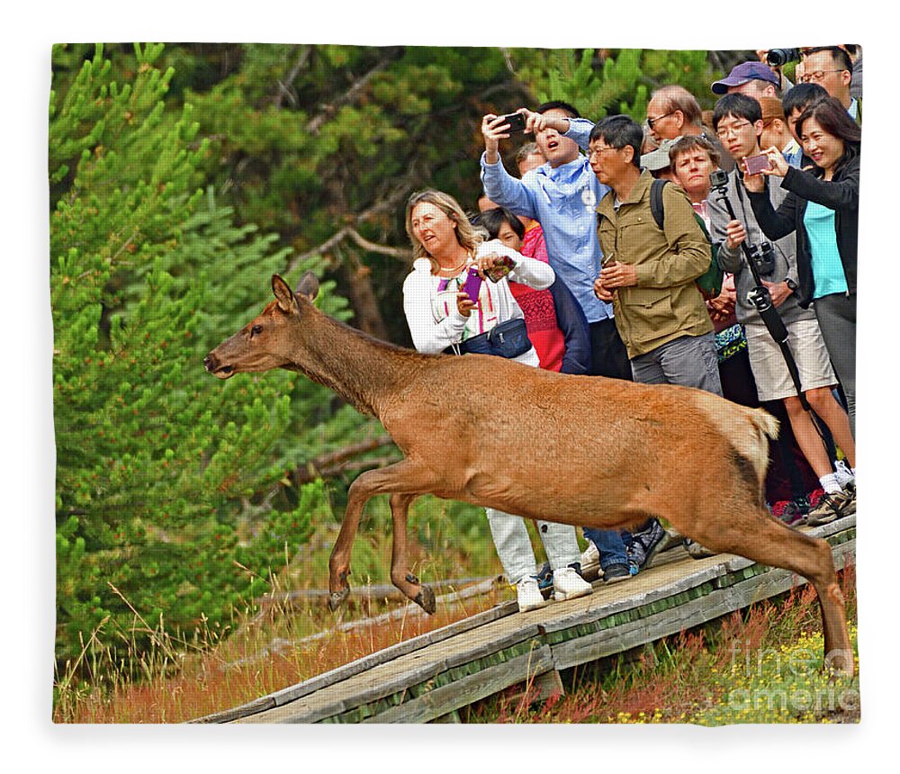 Elk Fleece Blanket featuring the photograph Elk In the Air by Amazing Action Photo Video