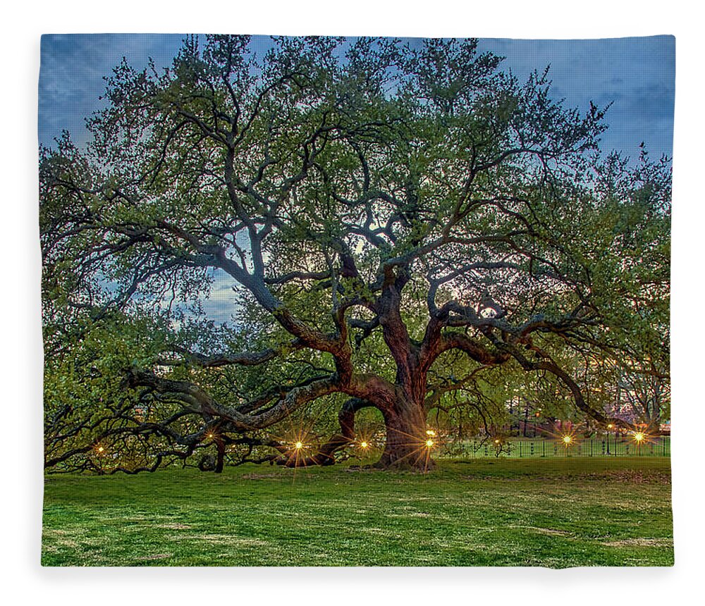 Emancipation Oak Fleece Blanket featuring the photograph Emancipation Oak at Dusk by Jerry Gammon