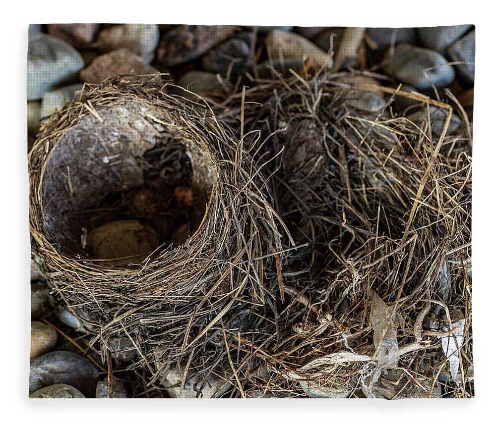 Animals Fleece Blanket featuring the photograph Empty Nest - Wildlife Photography 2 by Amelia Pearn