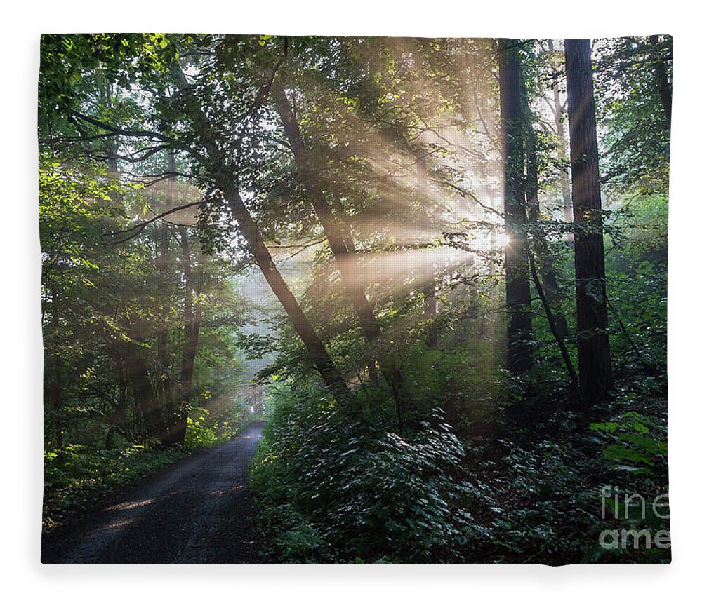 Magic Fleece Blanket featuring the photograph Enchanting sunlight in the forest 2 by Adriana Mueller