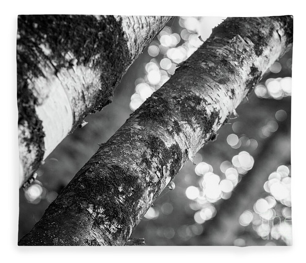 Woods Fleece Blanket featuring the photograph Ethereal Woods II by Becqi Sherman