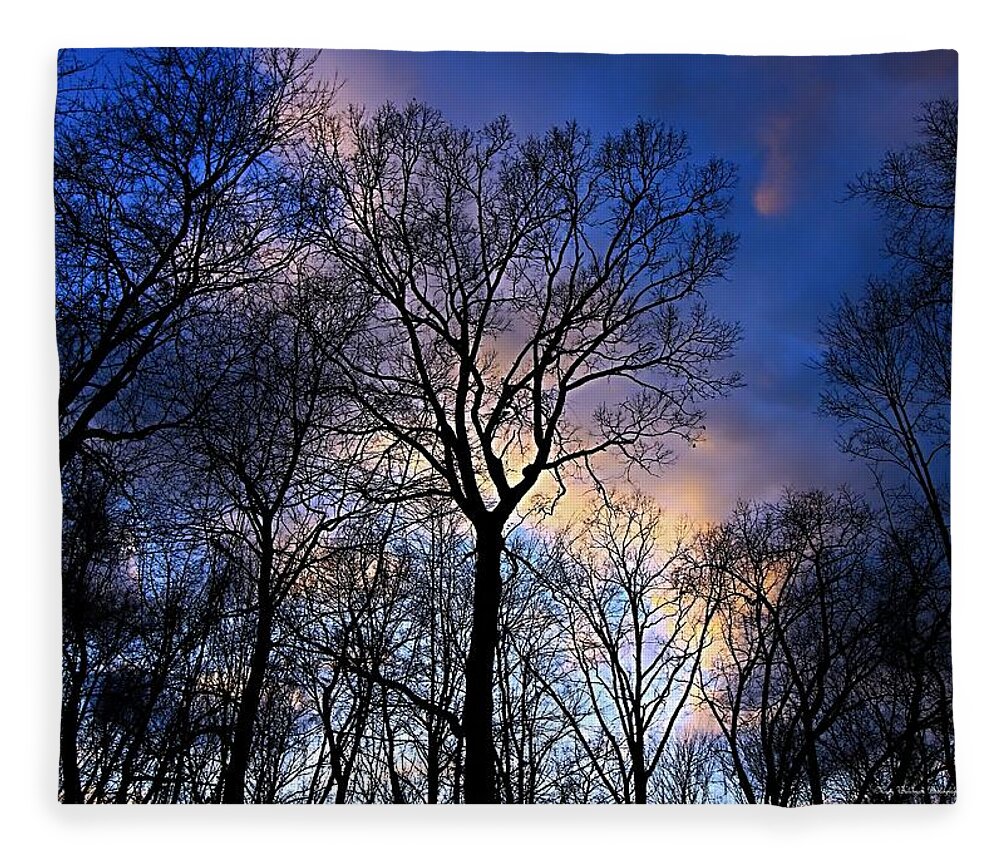 Landscape Fleece Blanket featuring the photograph Evening Winter Sky by Mary Walchuck
