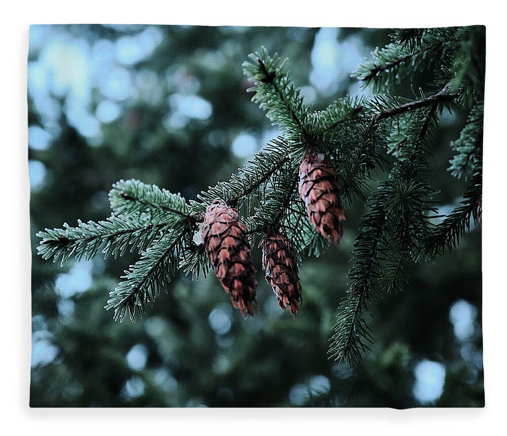 Landscape Fleece Blanket featuring the photograph Everett Pine by Jermaine Beckley