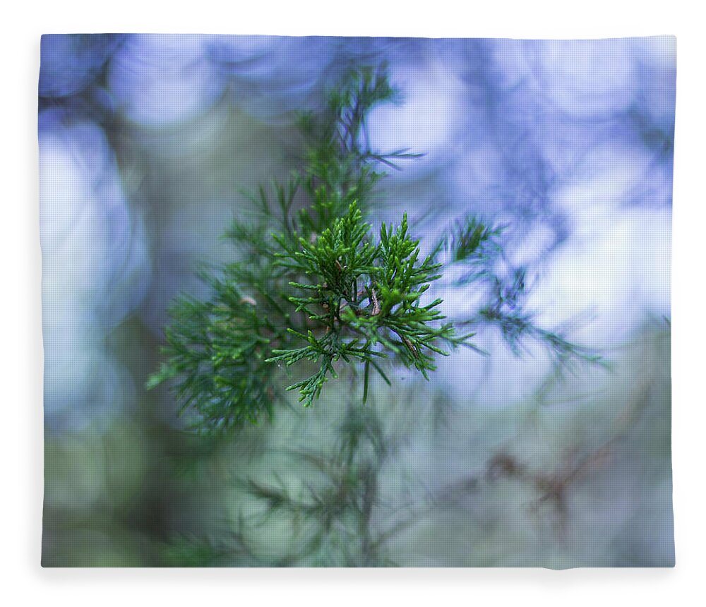 Tree Fleece Blanket featuring the photograph Evergreen by David Beechum