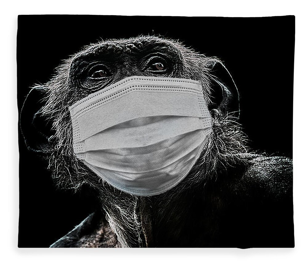 Chimpanzee Fleece Blanket featuring the photograph Evolution by Paul Neville