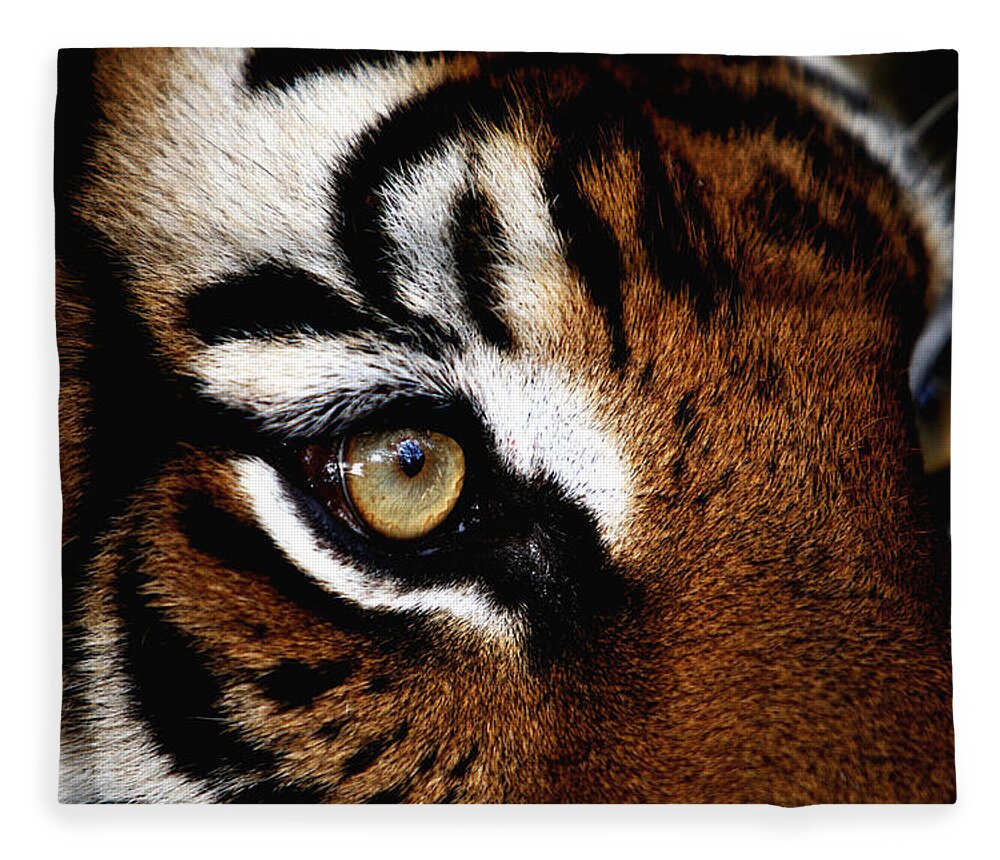 Tiger Fleece Blanket featuring the photograph Eyes of the Tiger by Brad Barton