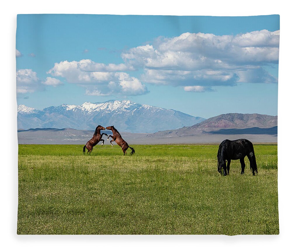  Fleece Blanket featuring the photograph Face Mask Grass Upright Fight by Dirk Johnson