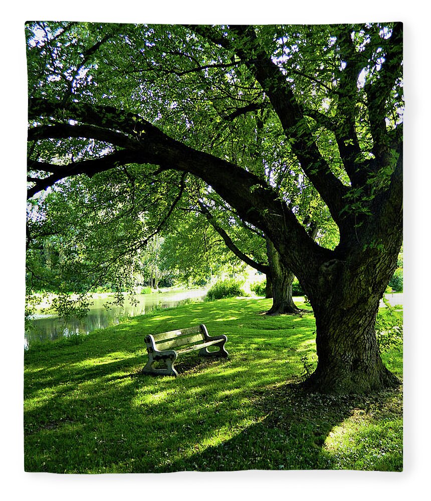 Facing The Willow Fleece Blanket featuring the photograph Facing The Willow by Cyryn Fyrcyd