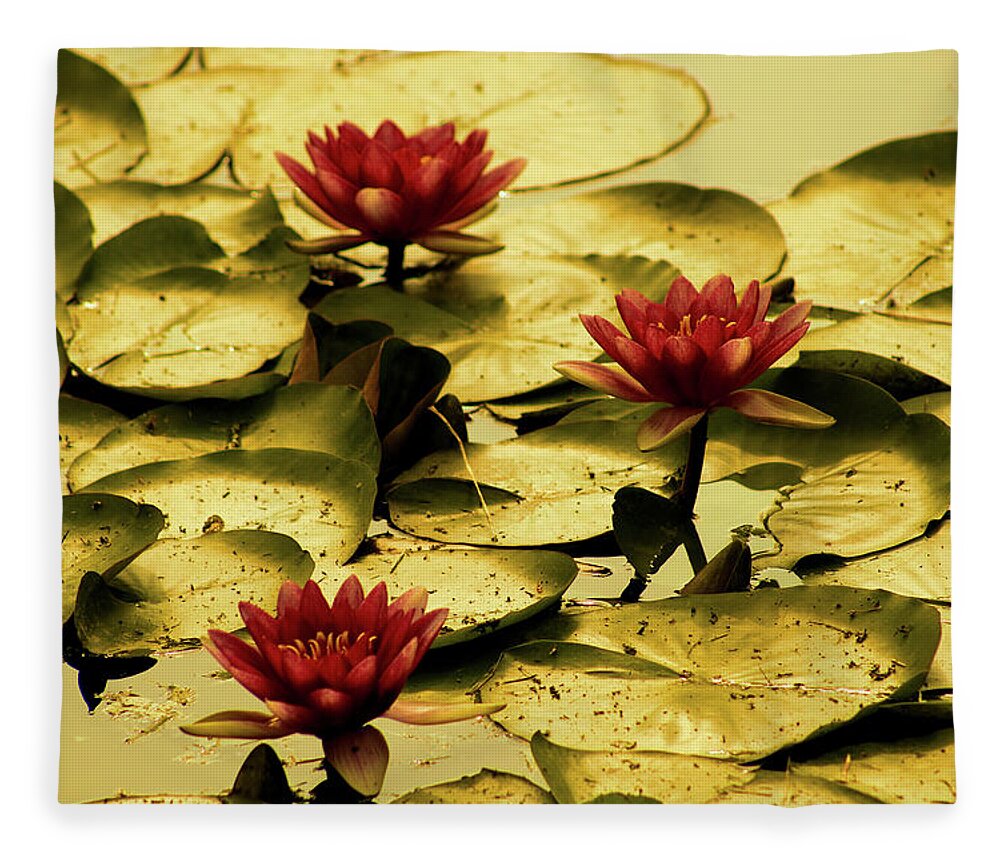 Pond Fleece Blanket featuring the photograph Fading of Summer by Christopher Reed