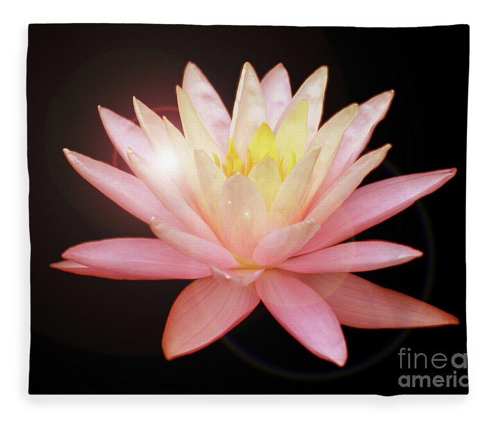 Water Lily; Water Lilies; Lily; Lilies; Flowers; Flower; Floral; Flora; Red; Orange; Yellow; Red Water Lily; Red Flowers; Black; Pink; Digital Art; Photography; Painting; Simple; Decorative; Décor; Macro; Close-up Fleece Blanket featuring the photograph Fairy Light on a Red Lily by Tina Uihlein
