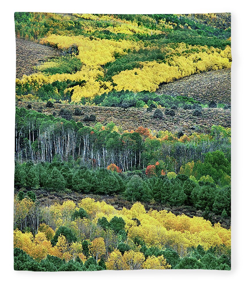 Dave Welling Fleece Blanket featuring the photograph Fall Color in the Eastern Sierras California by Dave Welling