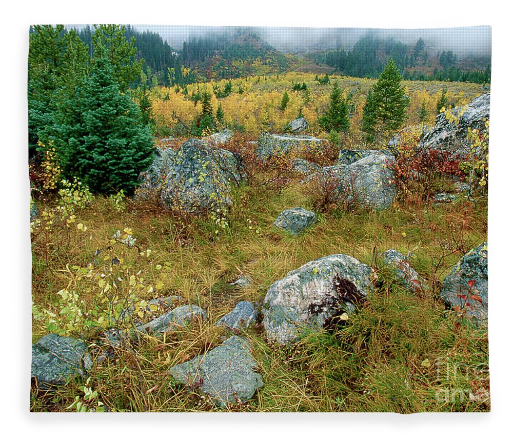 Dave Welling Fleece Blanket featuring the photograph Fall Color Lupine Meadows Grand Tetons Np Wyoming by Dave Welling