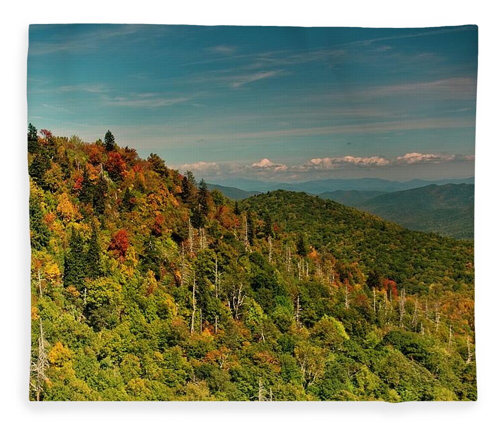 Autumn Fleece Blanket featuring the photograph Fall Colors by Allen Nice-Webb