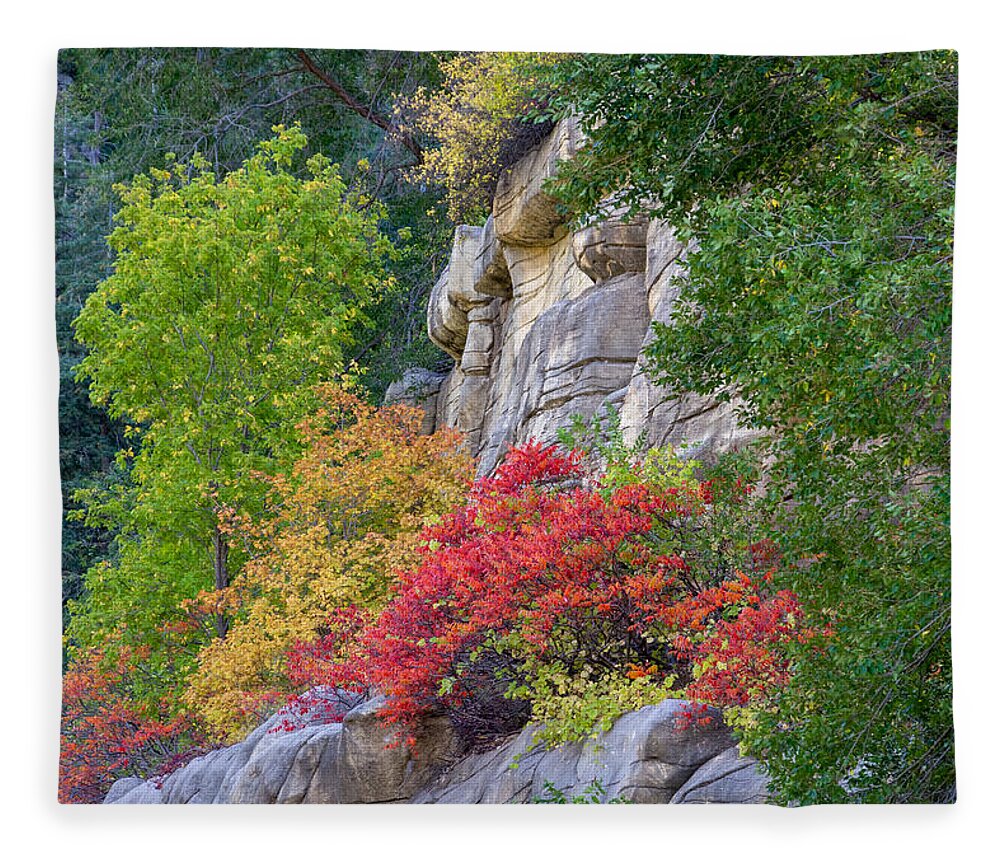 Fall Colors Fstop101 Oak Creek Canyon Sedona Arizona Landscape Fleece Blanket featuring the photograph Fall Colors in Sedona's Oak Creek Canyon by Geno Lee