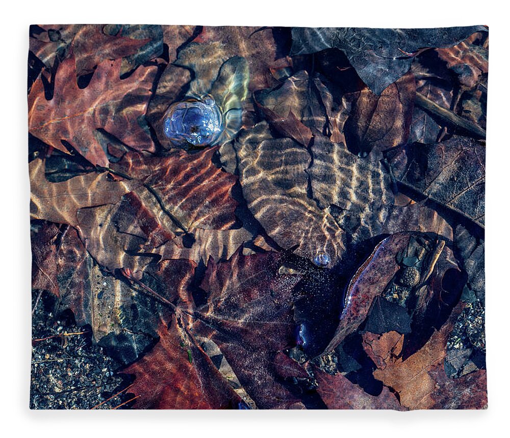Water Fleece Blanket featuring the photograph Fall Colors Underwater by Amelia Pearn