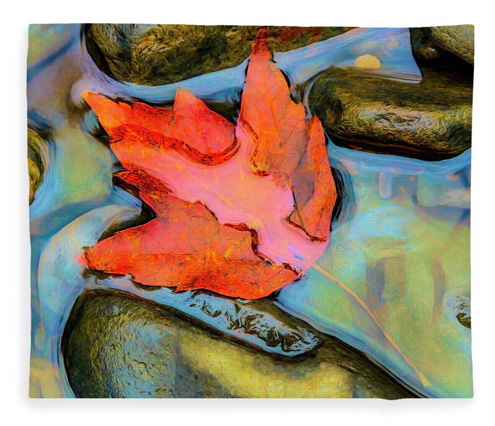 Carolina Fleece Blanket featuring the photograph Fall Float Painting by Debra and Dave Vanderlaan