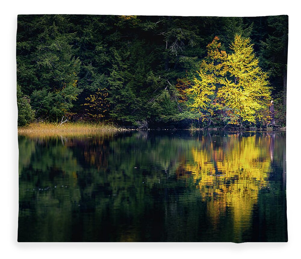 Fall Autumn Maine Nature Swan Island Tree Yellow Fleece Blanket featuring the photograph Fall in Maine by David Hufstader
